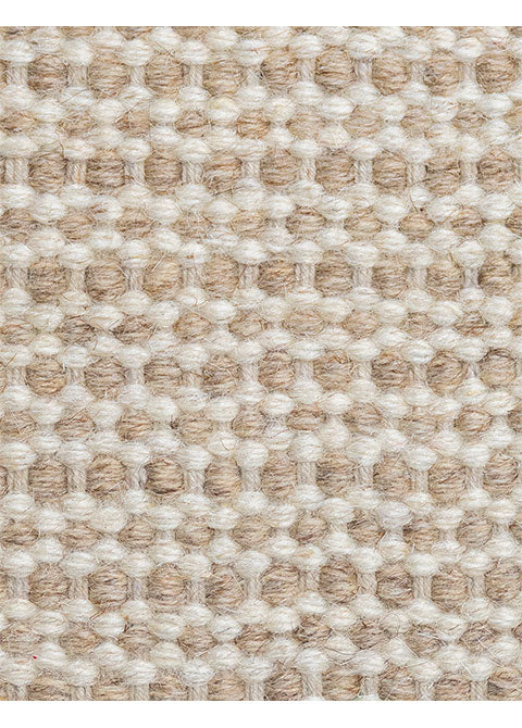 Shaila D8003