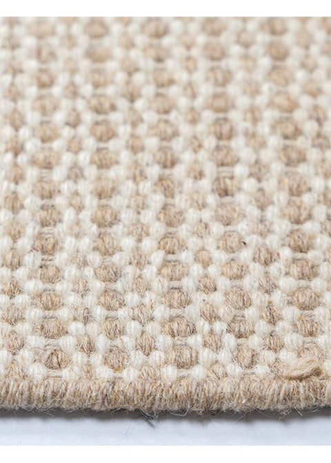 Shaila D8003
