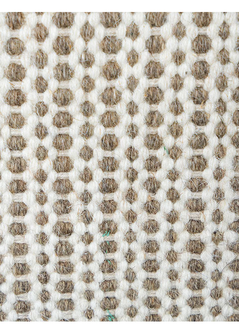 Shaila D8006