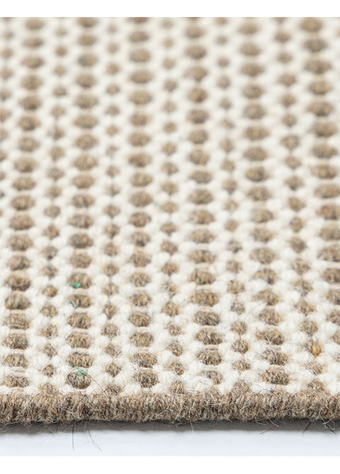 Shaila D8006