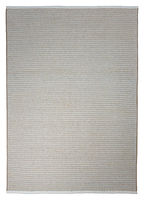 Shaila D8006